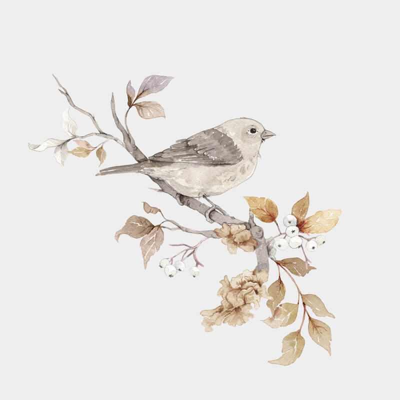 Putetrekk FUGLER, 50x50